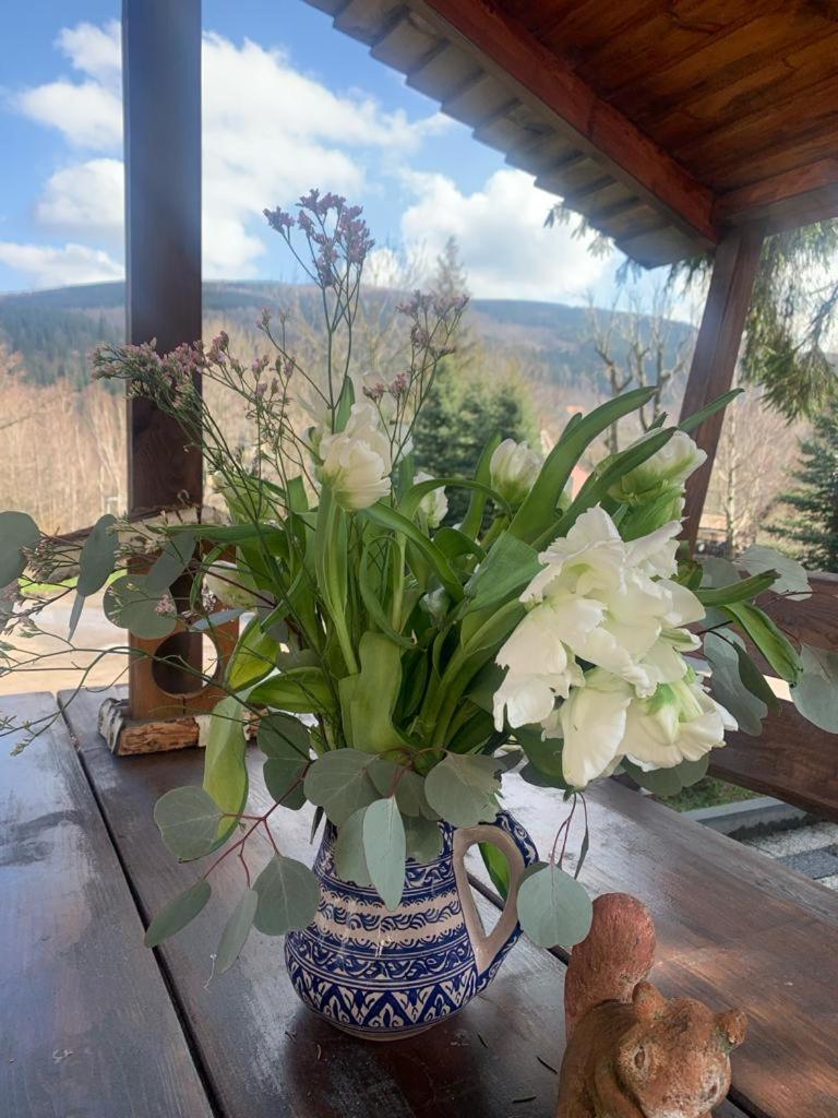 Na Stoku Apartment Swieradow-Zdroj Luaran gambar