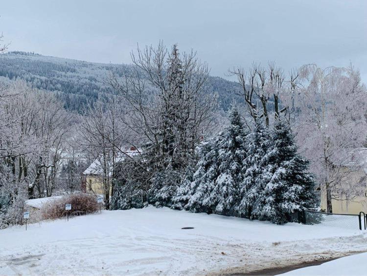 Na Stoku Apartment Swieradow-Zdroj Luaran gambar